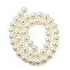 Eco-Friendly Dyed Glass Pearl Round Beads Strands HY-A002-10mm-RB011-5