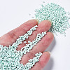 Glass Seed Beads SEED-S060-A-973-4