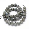 Natural Labradorite Round Bead Strands G-O087-04-8mm-3