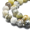 Natural Opal Beads Strands G-I356-A03-02-4