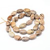 Natural Picture Jasper Flat Oval Bead Strands G-M206-24-2