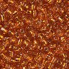 6/0 Glass Seed Beads X2-SEED-A005-4mm-29-2