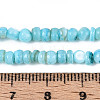 Natural Freshwater Shell Dyed Beads Strands SHEL-T020-29A-02-4
