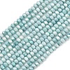 Electroplate Rondelle Glass Beads Strands GL-T021-2x2.5mm-17-23-1
