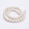 Wrinkle Textured Shell Pearl Beads Strands BSHE-F013-02-10mm-2