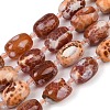 Natural Fire Crackle Agate Beads Strands G-K393-G05-13x18-2