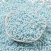 Macaron Color Opaque Frosted Glass Seed Beads SEED-K009-12B-11-2