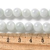 Natural Myanmar Jadeite Beads Strands G-L595-C01-02-5
