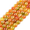 Natural Malaysia Jade Beads Strands G-A146-8mm-C14-1