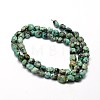 Natural African Turquoise(Jasper) Nuggets Beads Strands G-J335-43-2