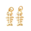 Brass Micro Pave Cubic Zirconia Charms KK-F927-13B-G-1