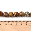 Natural African Opal Beads Strands G-S390-06-10mm-5