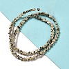 Natural Dalmatian Jasper Beads Strands G-G085-B13-01-2