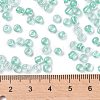 6/0 Glass Seed Beads X-SEED-A015-4mm-2219-4