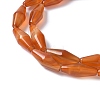 Dyed & Heated Natural Carnelian Beads Strands G-Q019-A01-3