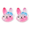 Resin Cabochons LS-CRES-N024-20-1