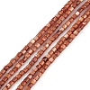 Natural Freshwater Shell Dyed Beads Strands X-SHEL-M018-14-02-1