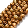 Natural Tiger Eye Beads Strands G-B133-A02-10mm-03-2