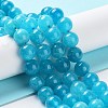 Dyed Natural Malaysia Jade Beads Strands G-G021-02B-02-2