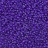 MIYUKI Round Rocailles Beads X-SEED-G007-RR0176-3
