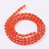Faceted Glass Beads Strands GLAA-A036-F16-2
