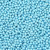 6/0 Glass Seed Beads X1-SEED-L011-08A-13-3