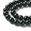 Natural Black Onyx Round Beads Strand G-L087-12mm-01-3