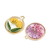 Alloy Epoxy Resin Pendants FIND-Z114-01G-05-2