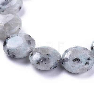 Natural Sesame Jasper/Kiwi Jasper Beads Strands G-G805-D13-1