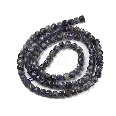 Natural Iolite Beads Strands G-H042-A52-02-1