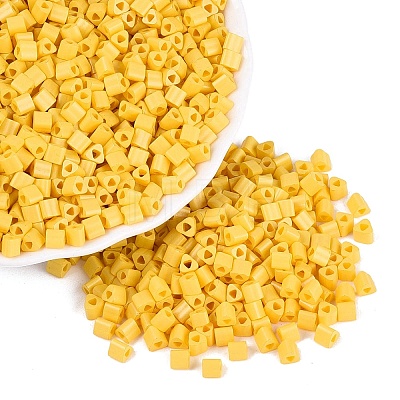 FGB Baking Paint Glass Seed Beads SEED-Q040-09A-09-1