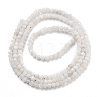 Natural Rainbow Moonstone Beads Strands G-G161-A01-01-1