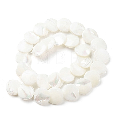 Natural Trochid Shell/Trochus Shell Beads Strands SSHEL-R145-03-1