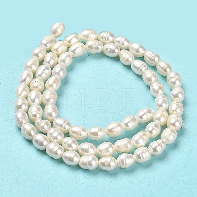 Natural Cultured Freshwater Pearl Beads Strands PEAR-E016-170-1