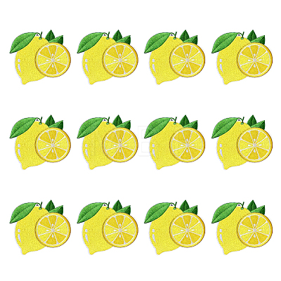 12Pcs Computerized Embroidery Polyester Iron on/Sew on Patches DIY-MA0007-24-1