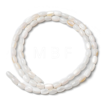 Natural Freshwater Shell Beads Strands SHEL-K006-06-1