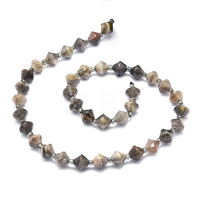 Natural Black Moonstone Beads Strands G-E569-C04-1