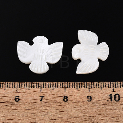Natural Freshwater Shell Carved Beads SHEL-N036-12-1