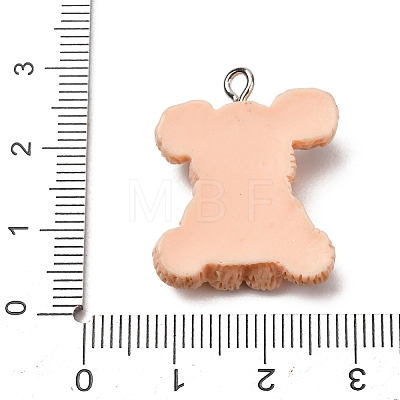 Aninal Theme Opaque Resin Pendants RE-CBA6A90-07P-01-1