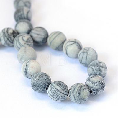 Frosted Natural Black Silk Stone/Netstone Round Bead Strands G-E334-10mm-25-1