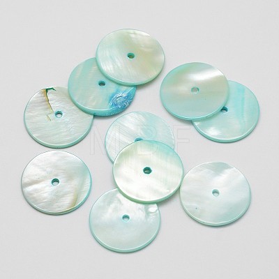 Dyed Natural Shell Beads SHEL-P004-06-1