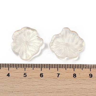 Transparent Glass Beads DGLA-E004-02K-1