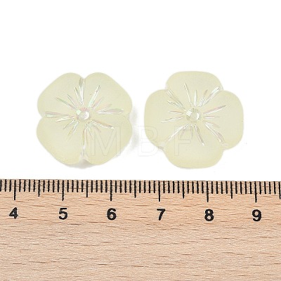 Frosted Transparent Acrylic Beads OACR-P029-19B-03-1