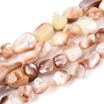 Natural Sea Shell Beads Strands SSHEL-N041-02B-1