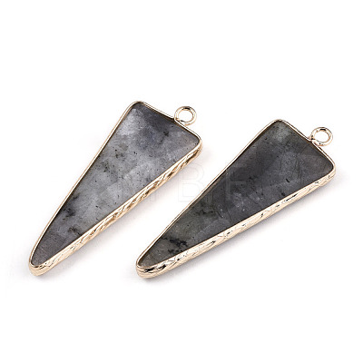 Natural Black Moonstone Pointed Pendants G-N326-56A-1