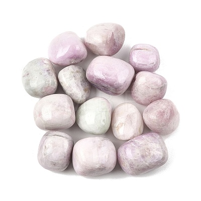 Natural Kunzite Beads G-G348-01B-15-1