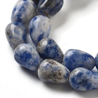 Natural Blue Spot Jasper Beads Strands G-B106-A15-01-1