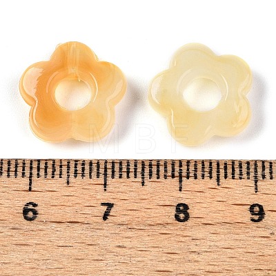 Gradient Color Transparent Acrylic Beads OACR-N137-49S-1