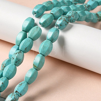 Natural Howlite Beads Strands G-C025-17-1