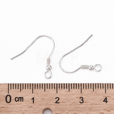 925 Sterling Silver Earring Hook Findings STER-M104-01C-1